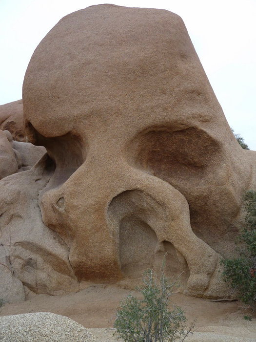 סלע הגולגולת בפארק הלאומי ג'ושוע טרי