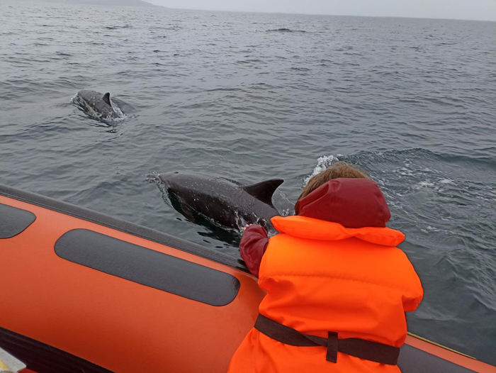 שיט צפייה בדולפינים מהעיירה Ullapool
