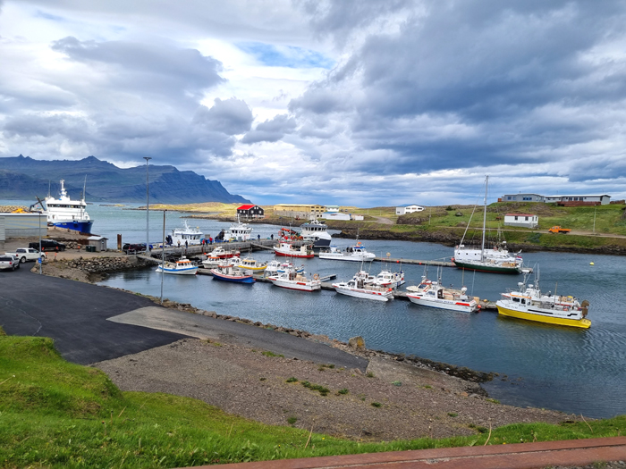כפר דייגים ציורי בקצה החוף המזרחי של איסלנד