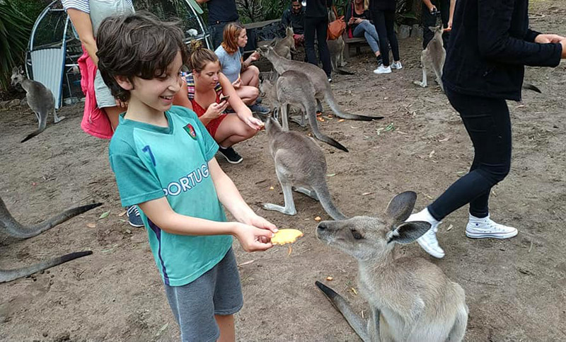 הילדים מיד התאהבו באוסטרליה בזכות עולם החי המטריף